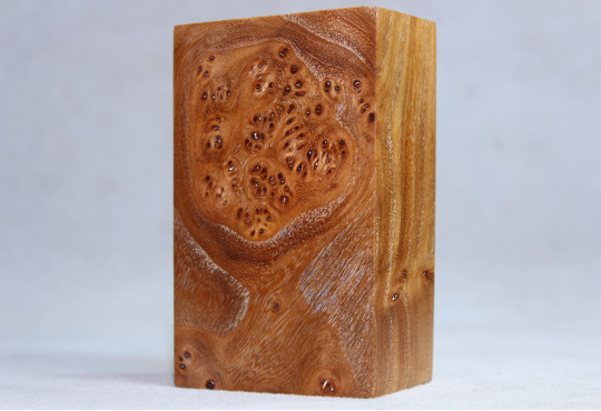 Stabilized Elm Burl Wood Mod Block